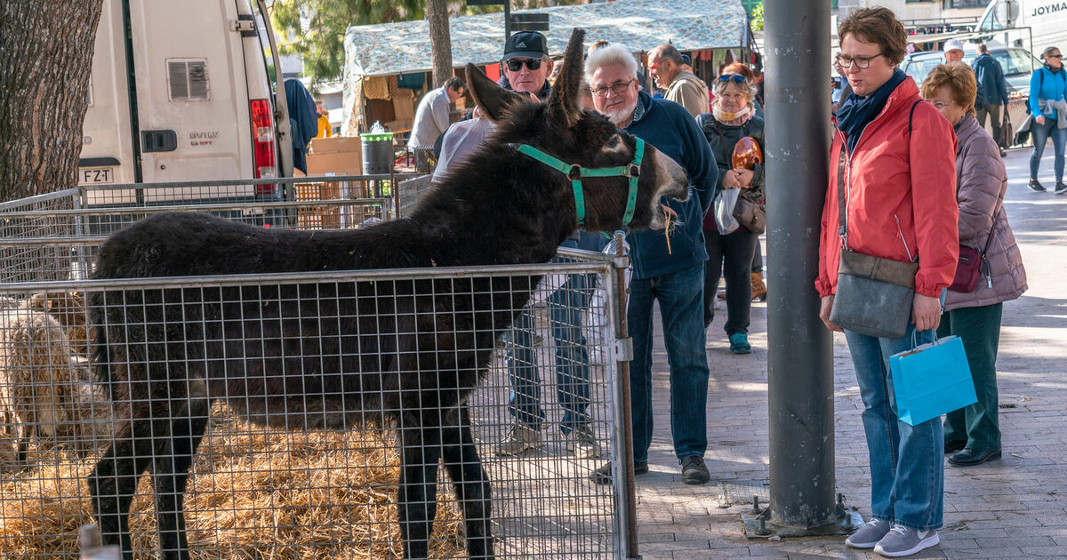 In Sineu gibt es den berühmten Tiermarkt 