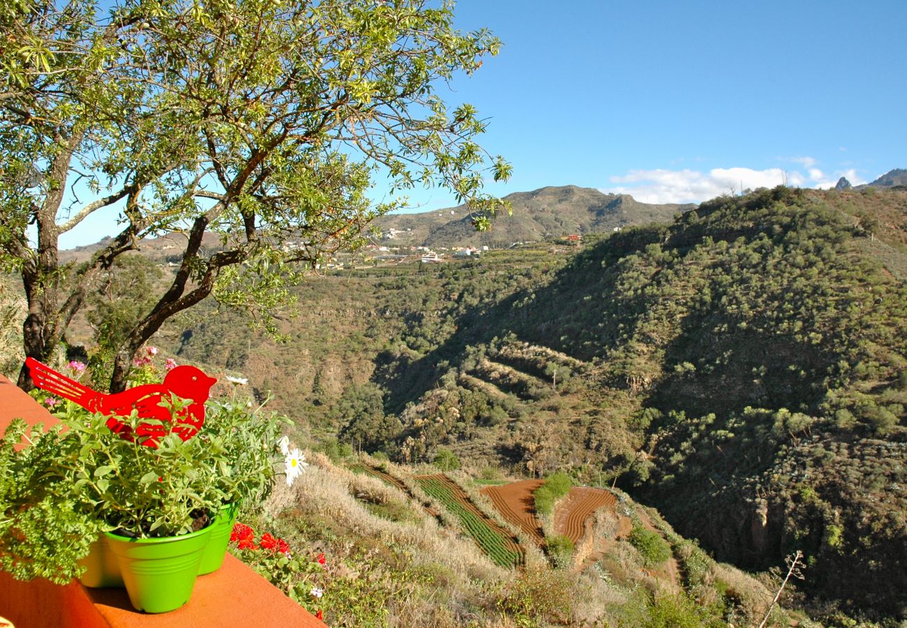 Villa in Vega de San Mateo - Tres Almendros