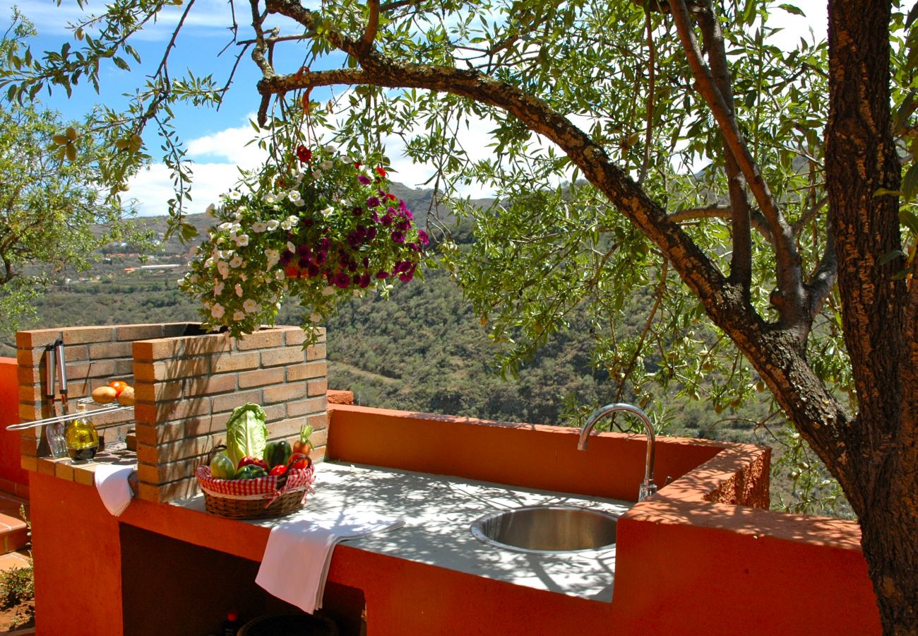 Villa en Vega de San Mateo - Tres Almendros